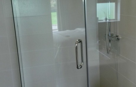 Glass Shower door and andled glass return panel