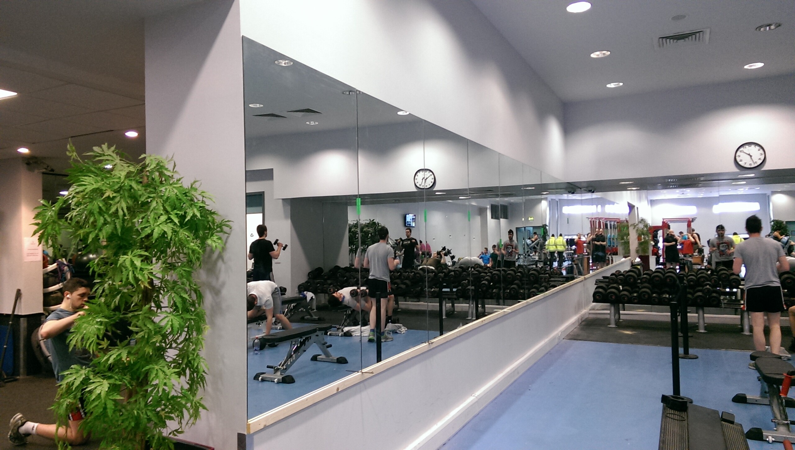 Gym Mirror On Baton Scaled