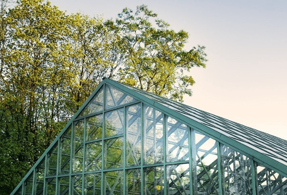 Large Green House Glazing Project Glass Roof Of Outdoor Greenhouse With Metal Framework And Tree Background