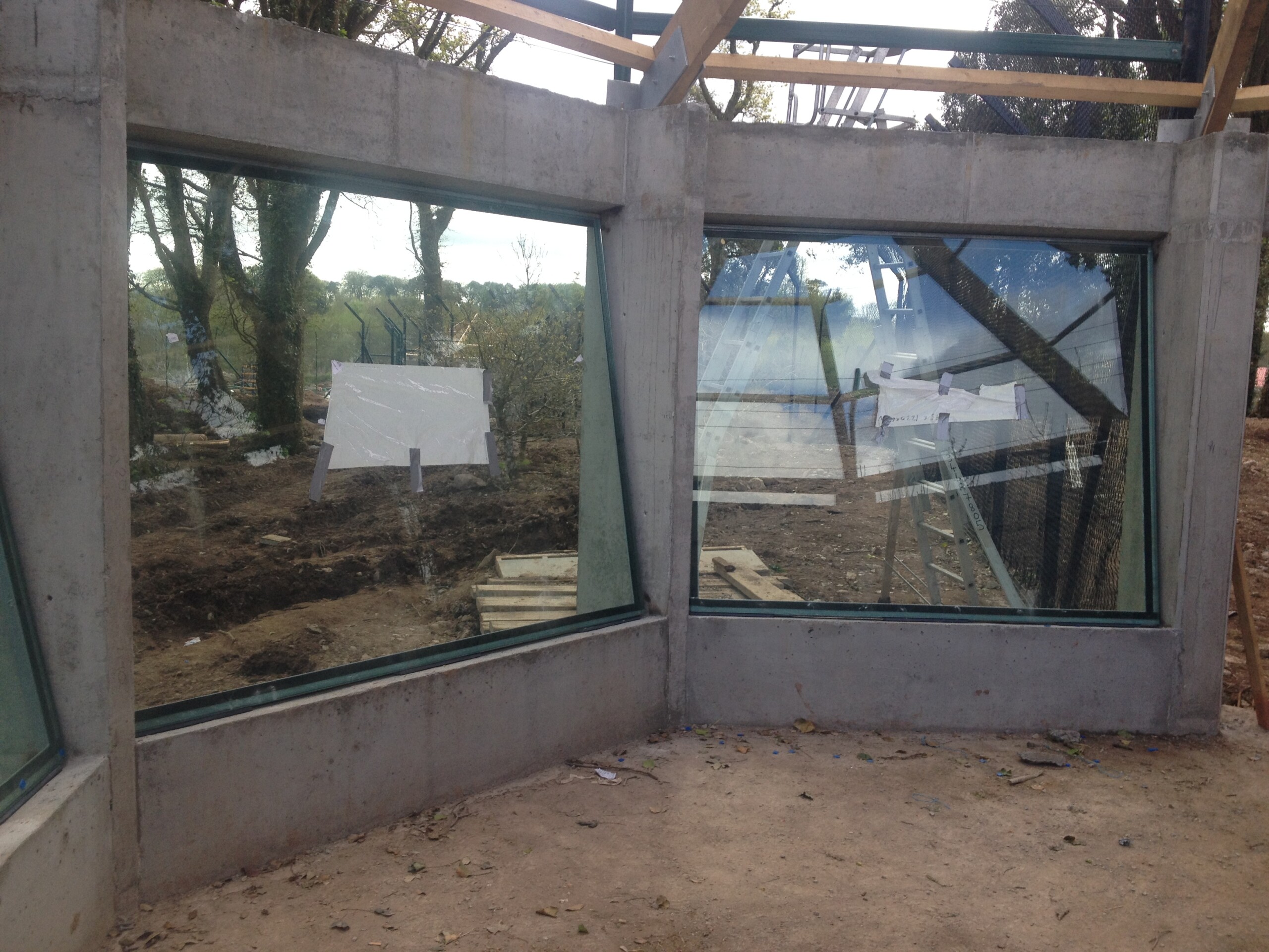 Viewing Glass Lion Enclosure Scaled